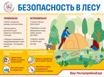 Безопасный отдых - лучший отдых!