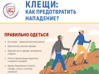 Профилактика клещевого энцефалита и клещевого боррелиоза