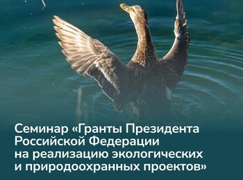 Cеминар «Гранты Президента Российской Федерации на реализацию экологических и природоохранных проектов»