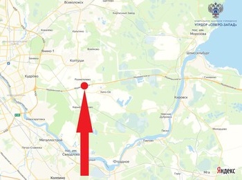 На развязке в составе трассы Р-21 будут поочередно перекрываться съезды